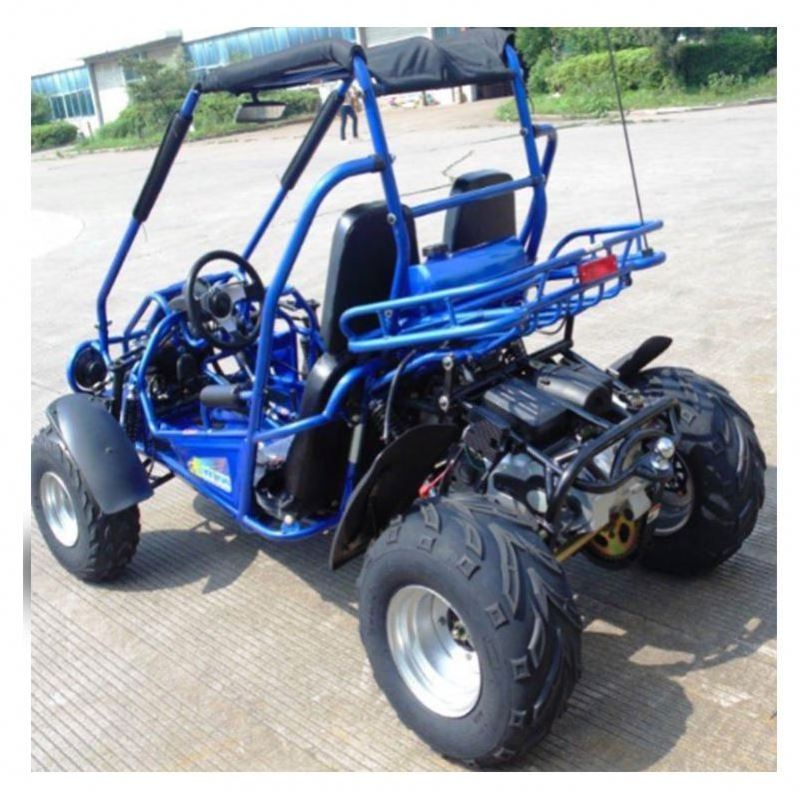 New 4X4 1100CC Road Legal Dune Buggy(BUGGYpro Trailmaster k1 k3 k5 k7 Go Karts-455)