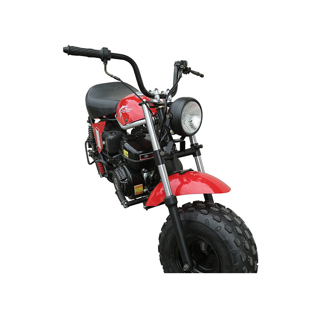 TRAIL BLAZER STORM TBM200 MX196-2  Kids Motorbike Mini Dirt Bike For Sale