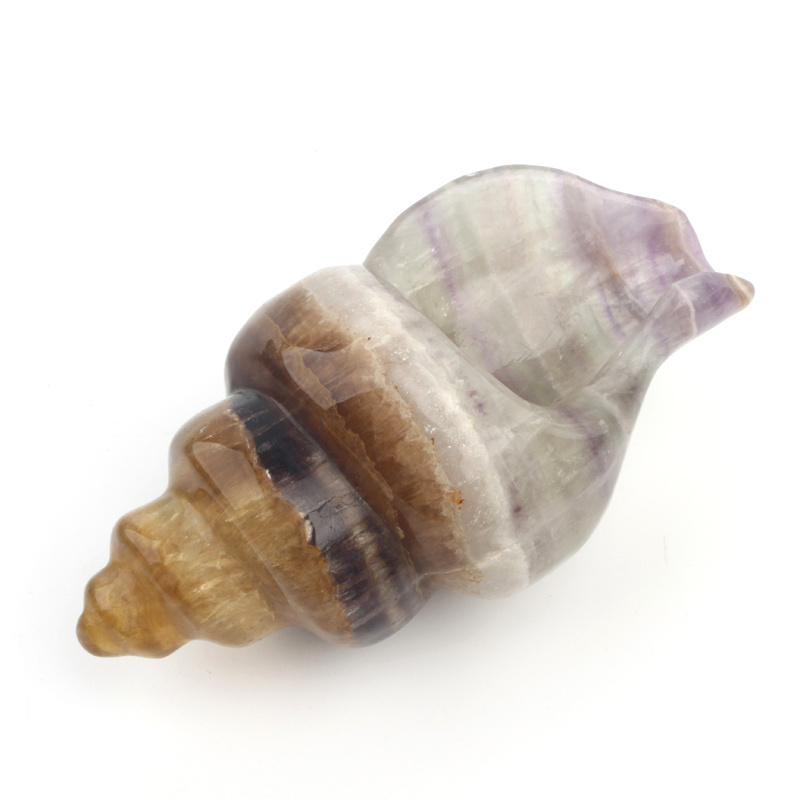 Hand Carved Healing Stone Natural Crystal Polishing Snail Shell Fluorite Conch