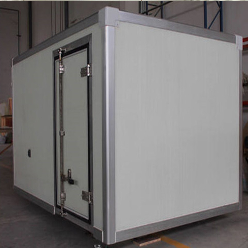 Anti-Slip FRP Dry Box Truck Recessed Rear Door