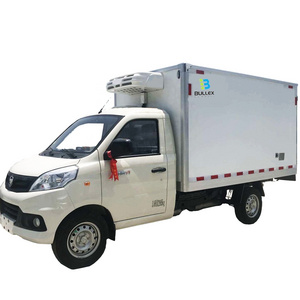 2023 Bullex-Schwall German Standard Fiberglass Refrigerated Truck body/truck body parts/van body kit