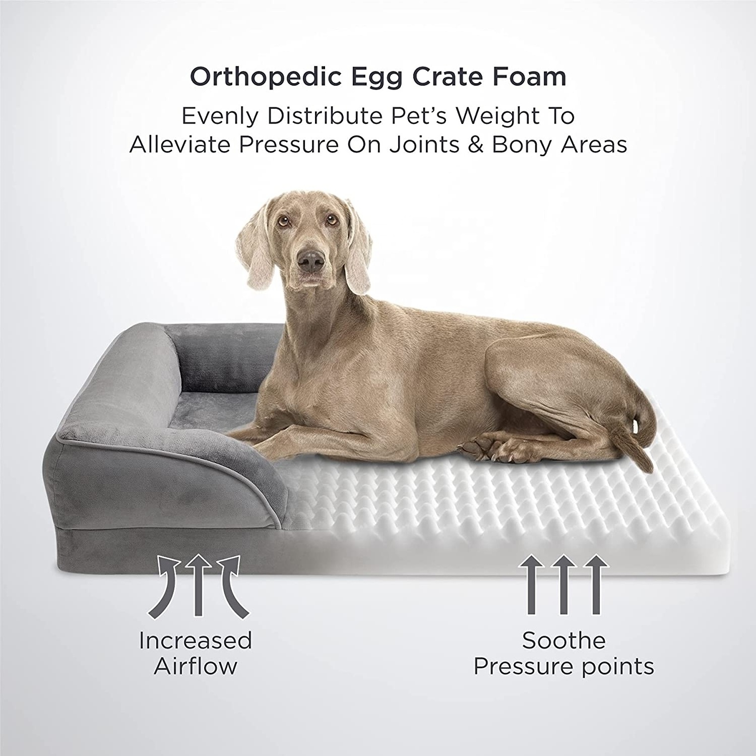 Pet Furniture Supplies Egg-crate Foam Orthopedic Dog Bed for Large Dogs with Non-slip Bottom and Waterproof Washable Cover