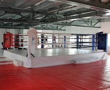 High Quality Different Sizes Boxing Ring