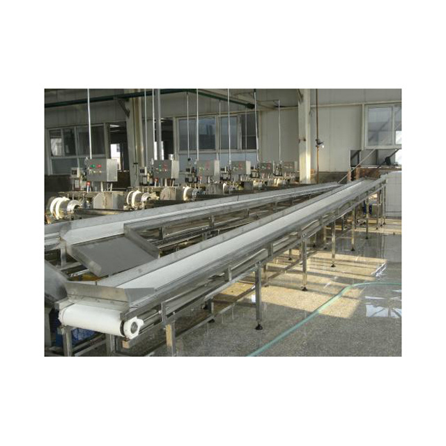 Pickled Cucumber pickled vegetable processing line hot selling