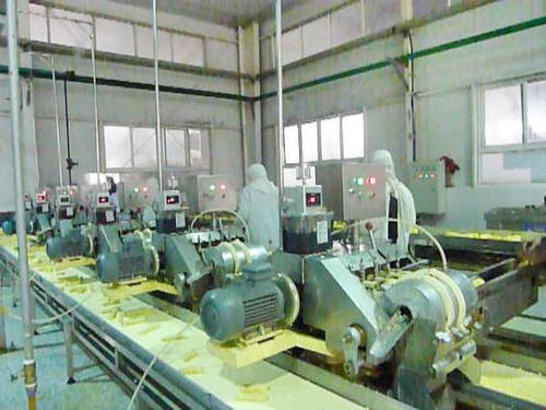 Small Pickled cucumber process machine / processing line