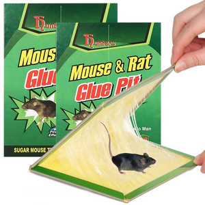 Strong Stickiness Paperboard Mice Glue Trap Board Mouse Traps Sticky Pad Board