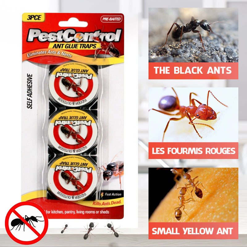 Ant Killer Baits for Household Use Kills Colony Glue Ant Box Black Paper Card Ant Farm Sustainable TRAPS Farm Starter Kit 6g