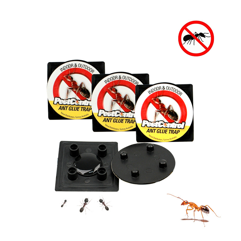 Sticky Ant Glue Trap Black Waterproof Ant Farm Blister Card 20 Sets 10 Square Meter Ant Farm Sand Nest 2023 Hot Sale Indoor