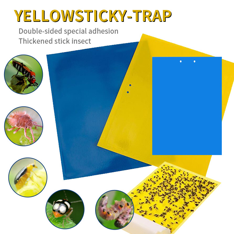 Yellow Sticky Fruit Fly Trap Insect Sticker Glue Board