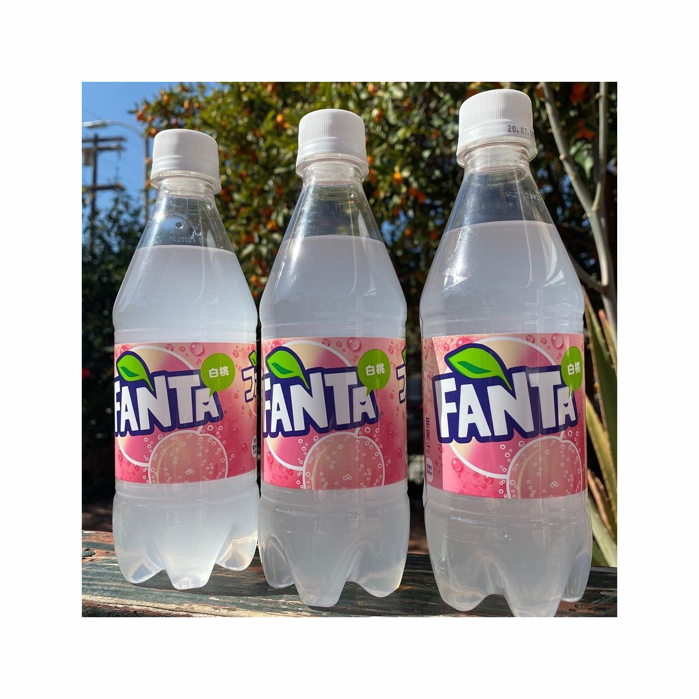 Japan Fanta white peach Soft Drinks / Exotic Fanta / Fanta 330ml Can Flavors