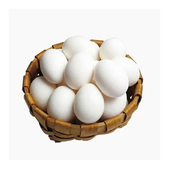 Cheap Farm Fresh Chicken Eggs Table Eggs Organic  Fertilized Hatching Eggs