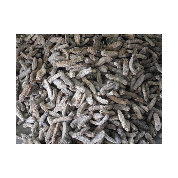 Hot sales price Sun Dried Sea Cucumber 20000kg available