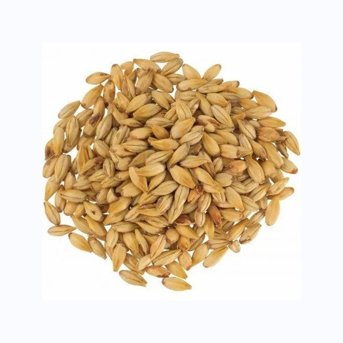 Barley Grains Premium Barley Seeds/Animal feed barley/bulk barley grains Malted Barley Malt grain for sale Top Grade For Sale