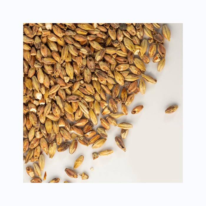 Barley Grains Premium Barley Seeds/Animal feed barley/bulk barley grains Malted Barley Malt grain for sale Top Grade For Sale