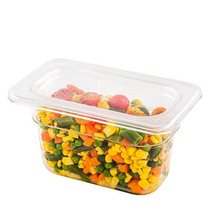 Restaurant Kitchenware catering Clear Plastic Polycarbonate PC Gastronorm Container Food Pan 1/9 GN Pan