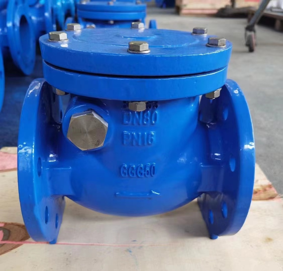 China Supplier Manufacture High Quality Di Ci Ggg50 Pn6 Pn16 Cast Iron Body Swing Check Valve NON return valve