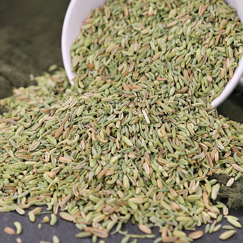 BXH Wholesale 2023 New crop 99% EU standard high quality health spice Dried fennel seed Flavoured fennel green seed