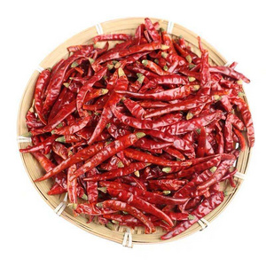 BXH China spices wholesaler sell high quality red chilli spice  Food spices round red chilli Seasoning red chilli flakes low price