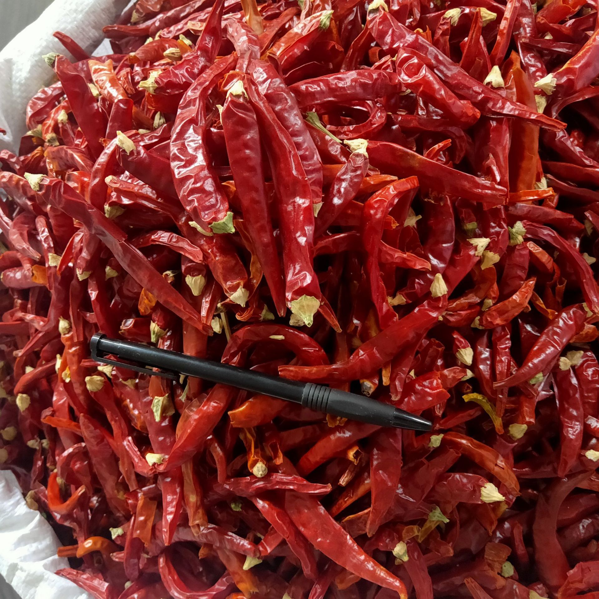 BXH China spices wholesaler sell high quality red chilli spice  Food spices round red chilli Seasoning red chilli flakes low price