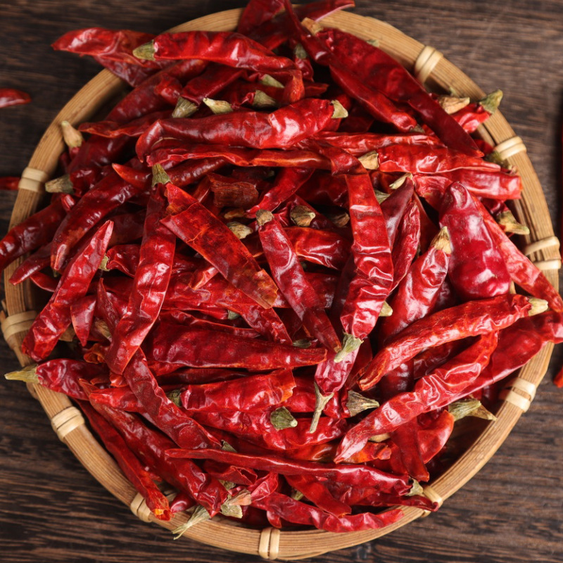 BXH China spices wholesaler sell high quality red chilli spice  Food spices round red chilli Seasoning red chilli flakes low price