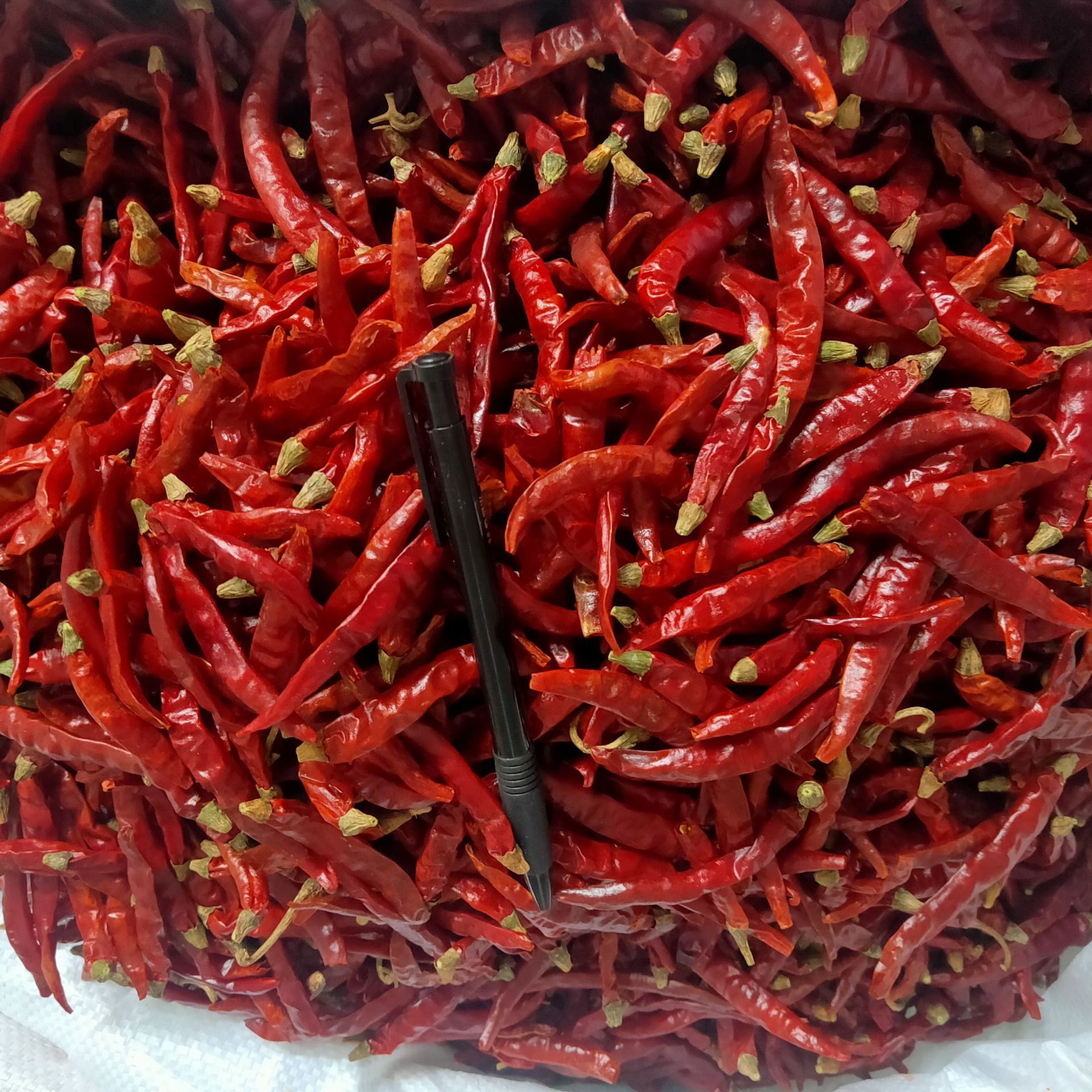 BXH China spices wholesaler sell high quality red chilli spice  Food spices round red chilli Seasoning red chilli flakes low price