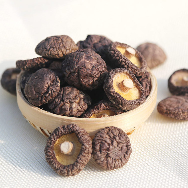 hotsales Cultivated Edible Fungus Shiitake dried mushrooms 100% natural dried mushroom bulk top quality dried mushrooms for sale