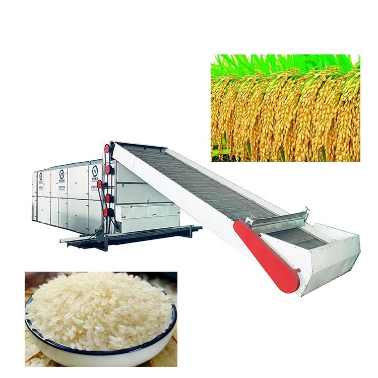 Herbs Drying Equipment Seeds beans Rice Dryer machine multi heating dryer