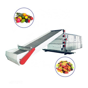 Heat Resisting Stainless Steel Mesh Belt Food Dryer Vegetable Dehydrator Machine