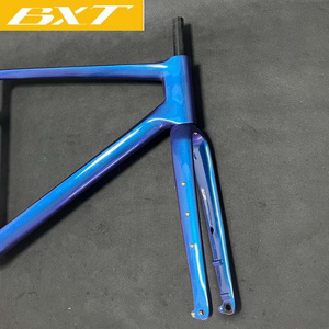 Carbon Gravel Fork 700C Disc Brake Road Bicycle Hidden Cable Routing Thru Axle  OEM XC Mountain Bikes Carbon Fiber Gravel Fork