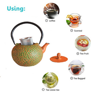 800ML Japanese Tetsubin Cast Iron Teapot Kettle with Stainless Steel Infuser for Loose Tea