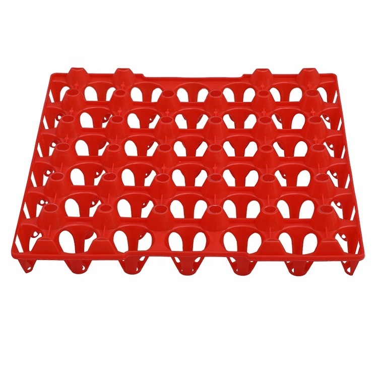 Wholesale Newest Design Reusable 30 chicken eggs Plastic Egg Tray for egg packaging