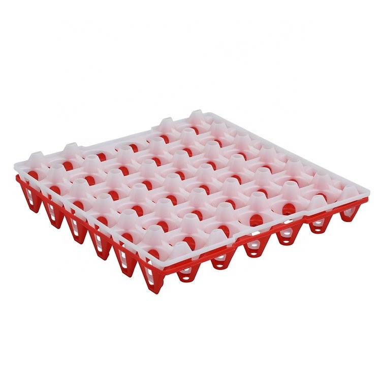 Wholesale Newest Design Reusable 30 chicken eggs Plastic Egg Tray for egg packaging