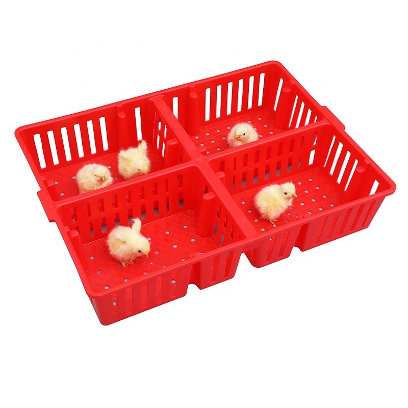 OEM ODM pp Bule / white / Yellow stackable save space plastic poultry Chick turnover cage for chicken farm