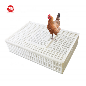 live poultry crate modern new type chicken broiler cage to transport