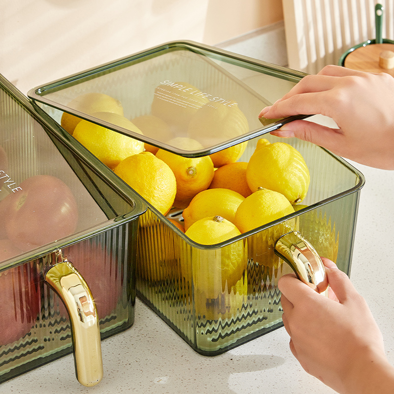 Refrigerator storage box food grade fresh-keeping box freezer special kitchen fruit handle box