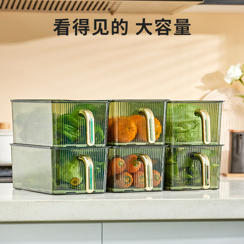 Refrigerator storage box food grade fresh-keeping box freezer special kitchen fruit handle box