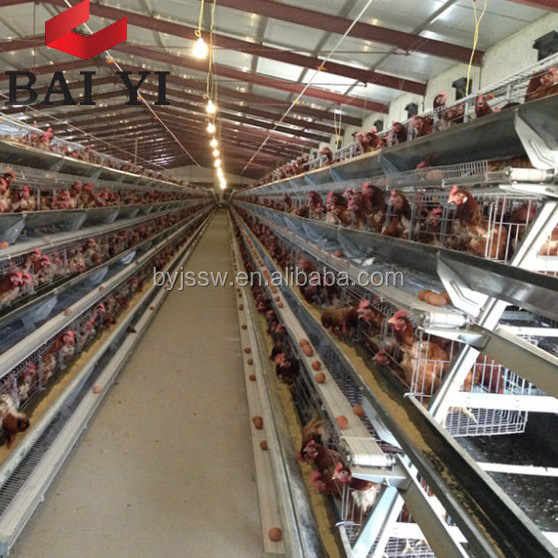 4 Tiers Layer Chicken Poultry Battery Cages for Nigerian Farm