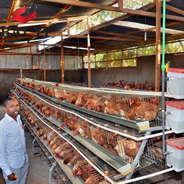 4 Tiers Layer Chicken Poultry Battery Cages for Nigerian Farm