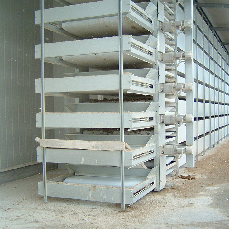 h type automatic broiler battery cage with manure belt