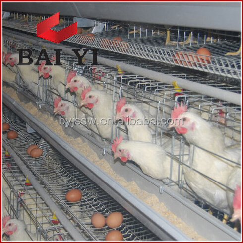 Enriched Colony System Poultry Chicken Cage for Poultry