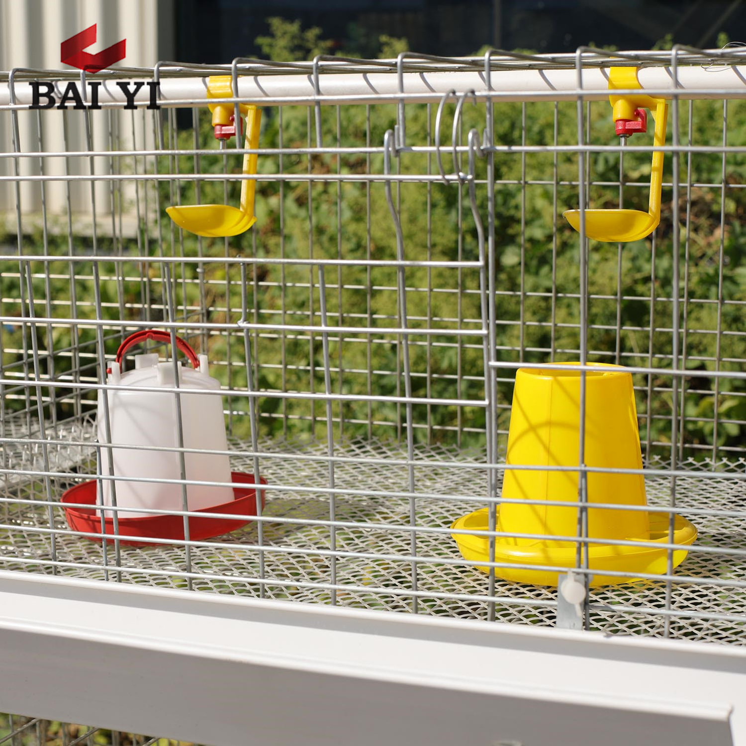 Design Modern Rooster Cage For Sale