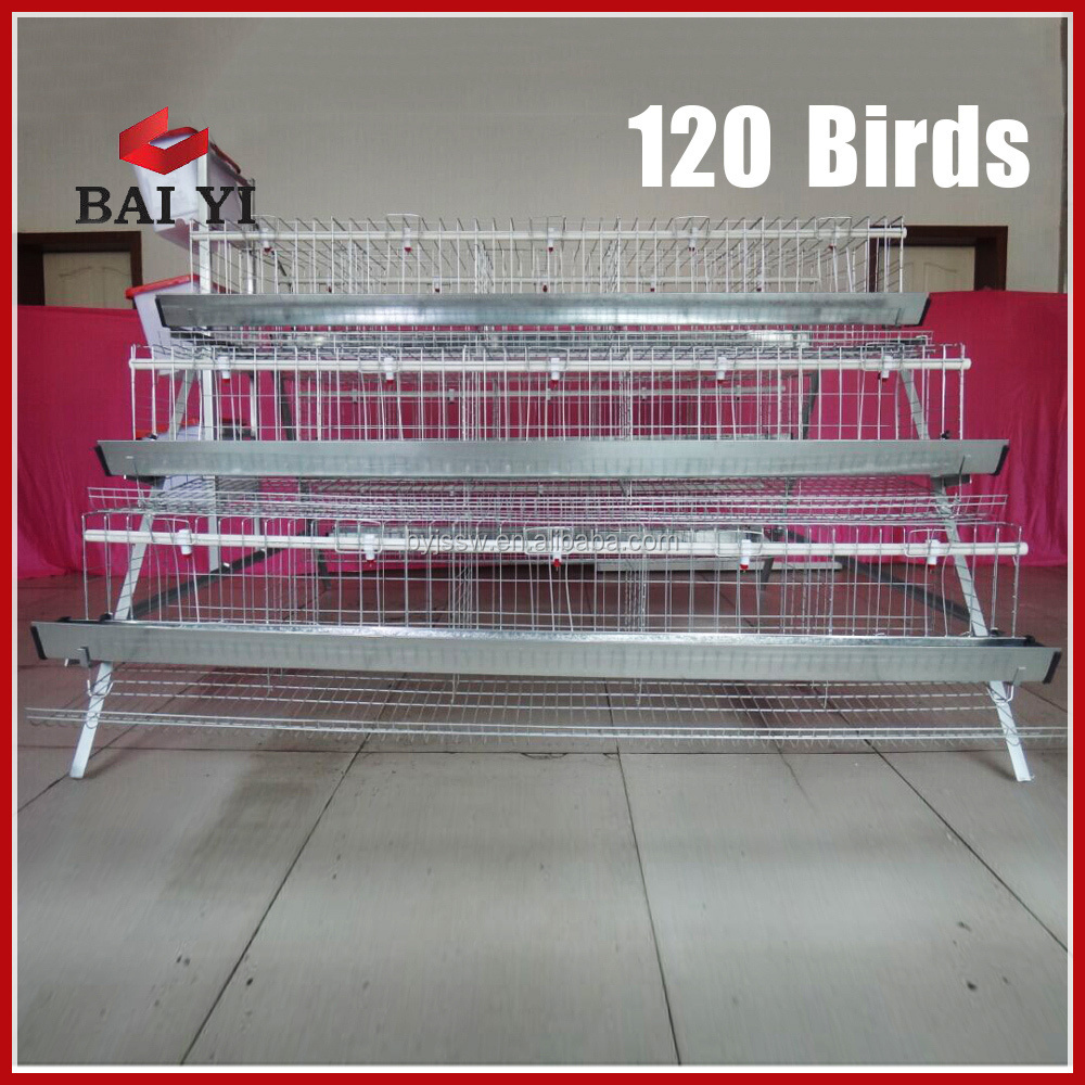 Best Selling Cages for Laying Hens, Used Chicken Cages For Sale, Name Of Poultry Farms