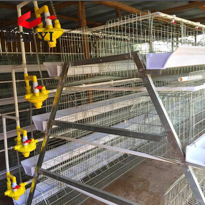 second hand layer poultry cages laying hen cage 120 chicken cages for sale in nigeria