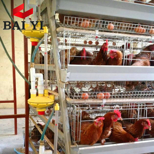 Best Selling Products 96,120,128,160 Birds Layer Poultry Battery Chicken Cages For Sale