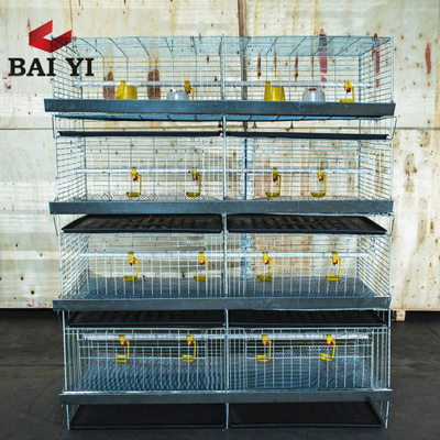 Poultry Farm Baby Chick Brooder Cage/Day Old Chicken Cage/Battery Pullet Rearing Cage