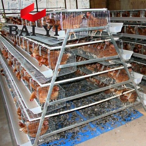 mexico hot dip galvanized chicken cage battery cage for layer poultry farm