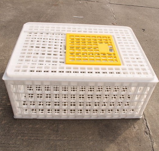 Hot Selling Racing Pigeon Transport Cages For Sale