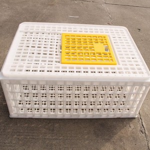 Hot Selling Racing Pigeon Transport Cages For Sale