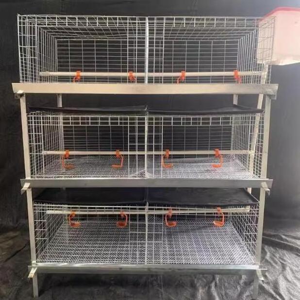 hot dip galvanized used broiler chicken cages for sale