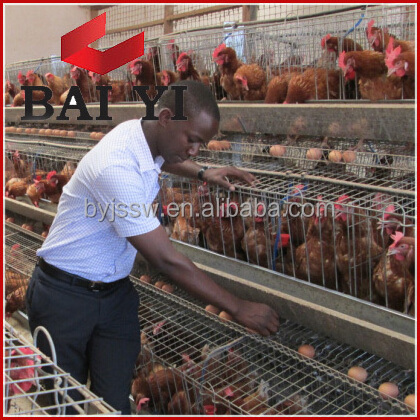 Enriched Colony System Poultry Chicken Cage for Poultry